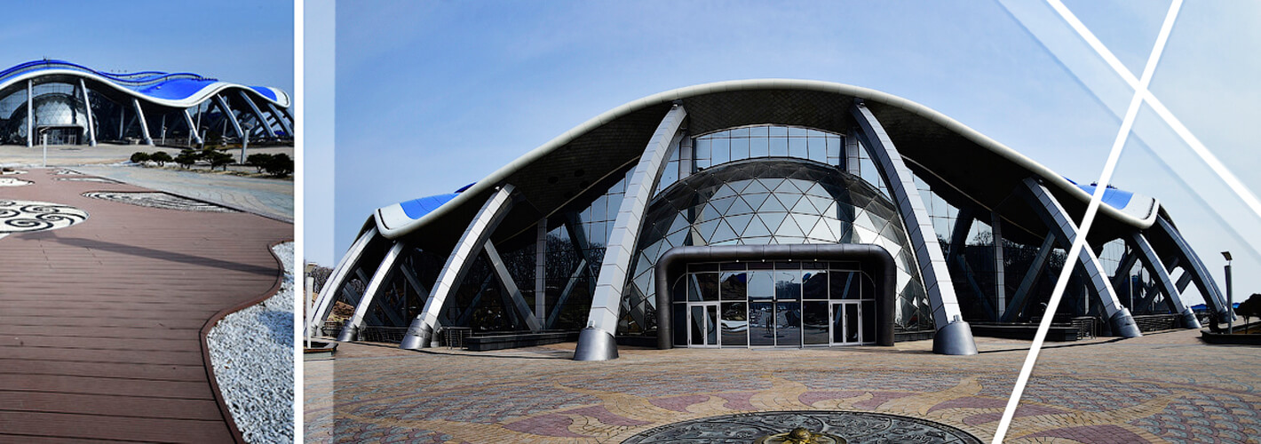 АТЭС 2012 Владивосток Приморский океанариум.jpg